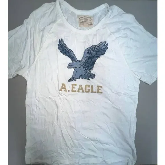 American Eagle Vintage Classic Fit Tee Men L EUC - Picture 1 of 4